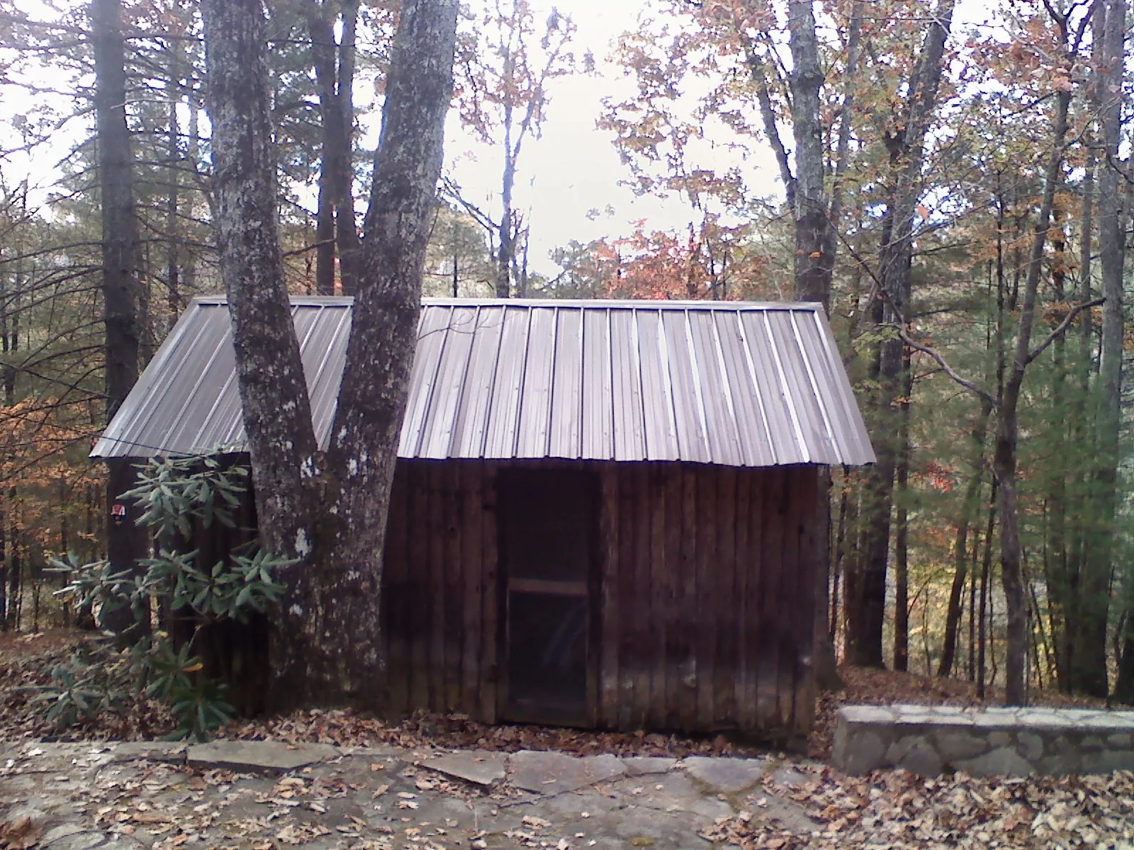New metal gable roof on a small log shed among the trees in Melrose